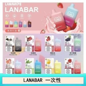 LANA BAR可充电一次性電子煙霧化5000口(3.0%)