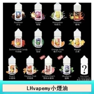 LHvapemy馬來西亞主機小煙油30ml