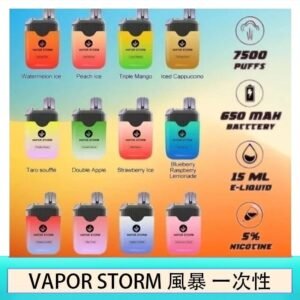 Vapor Storm風暴電子煙7500口（5%）一次性