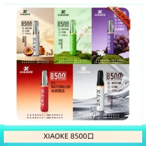 梟 客XIAOKE一次性電子菸拋棄式8500口