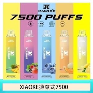 17種口味|梟客一次性電子菸 XIAOKE 7500口 炫酷發光設計