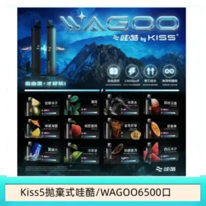 WAGOO哇酷Kiss5 6500口拋棄式 | 自由混搭雙口味 | 雙芯組合